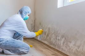 Why You Should Choose Our Mold Remediation Services in Pampa, TX